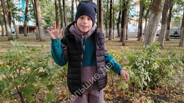 Описание изображения