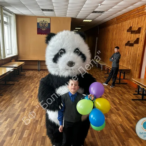 Описание изображения