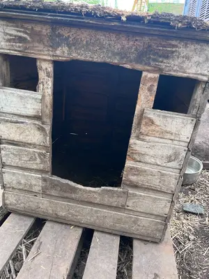 Обложка сбора