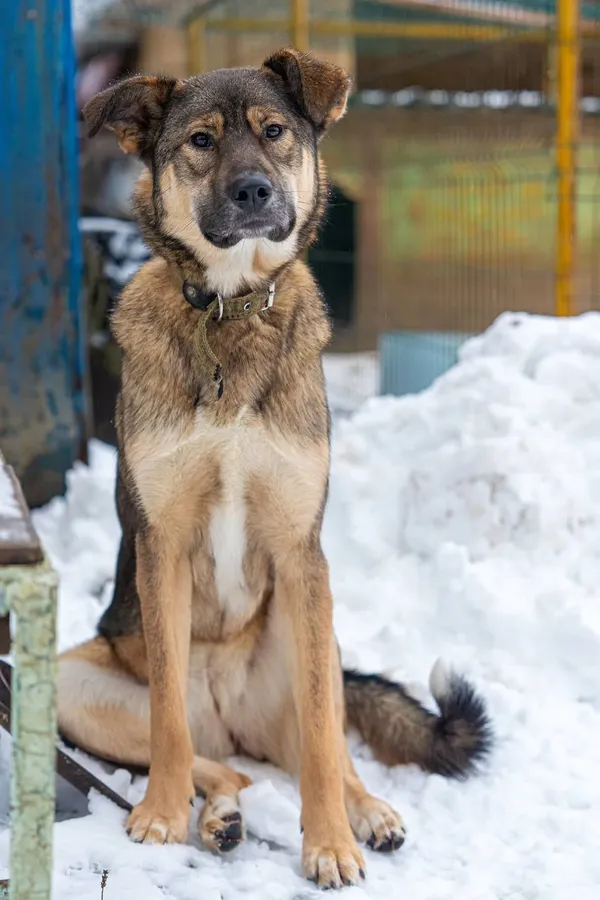Описание изображения