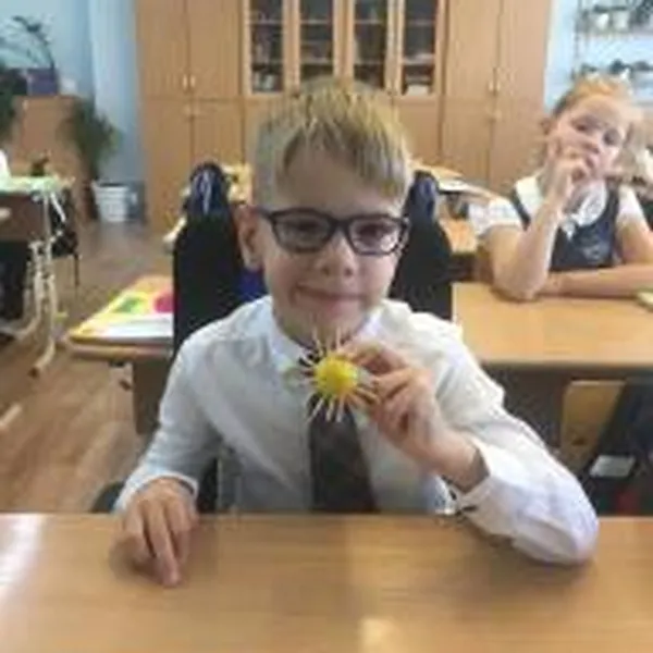 Описание изображения