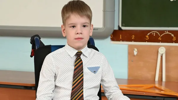 Описание изображения
