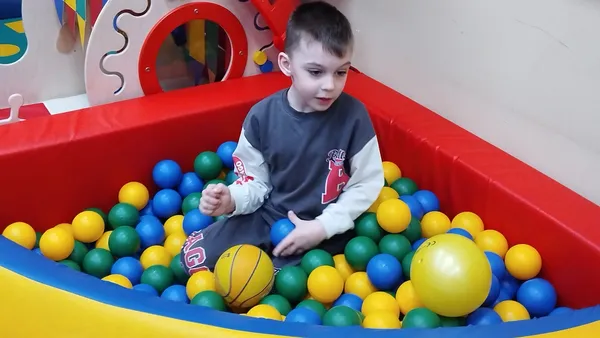 Описание изображения