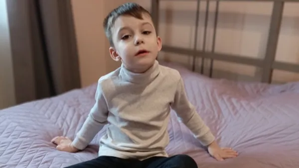 Описание изображения