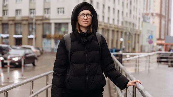 Описание изображения