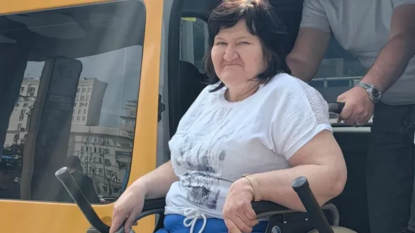 Описание изображения
