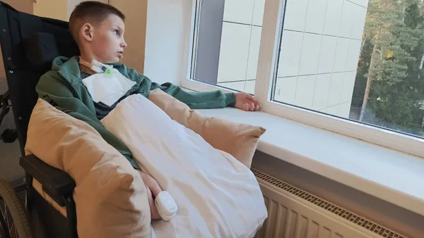 Описание изображения