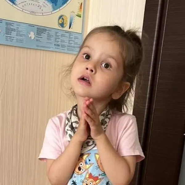 Описание изображения