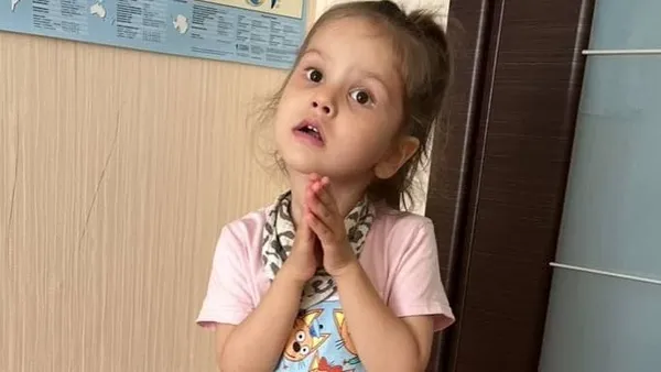 Описание изображения