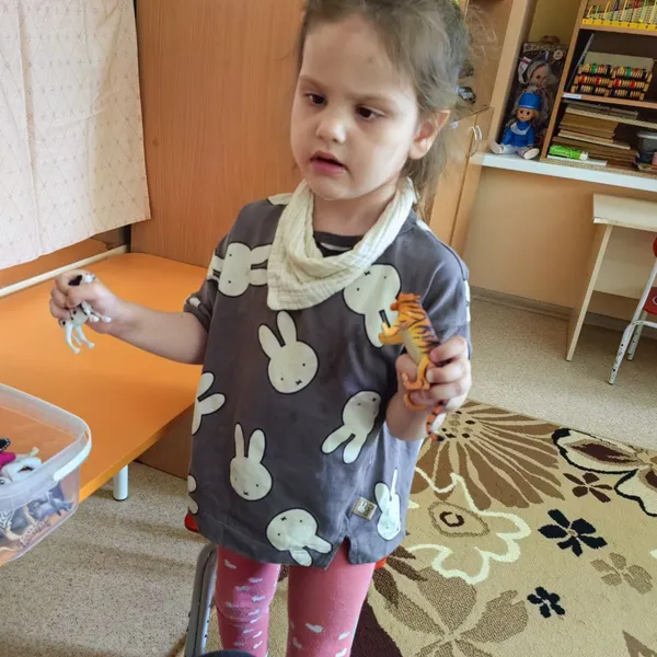 Описание изображения
