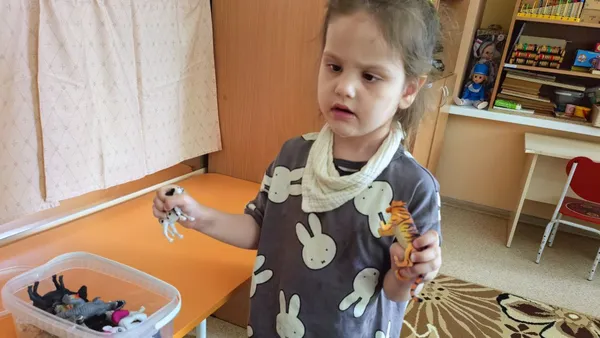 Описание изображения