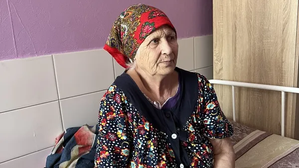 Описание изображения