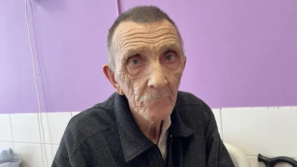 Описание изображения