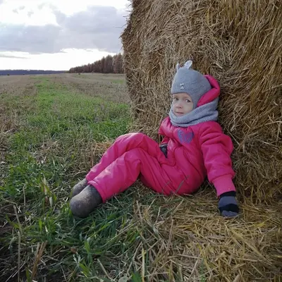 Обложка сбора