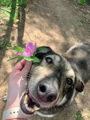 Обложка сбора